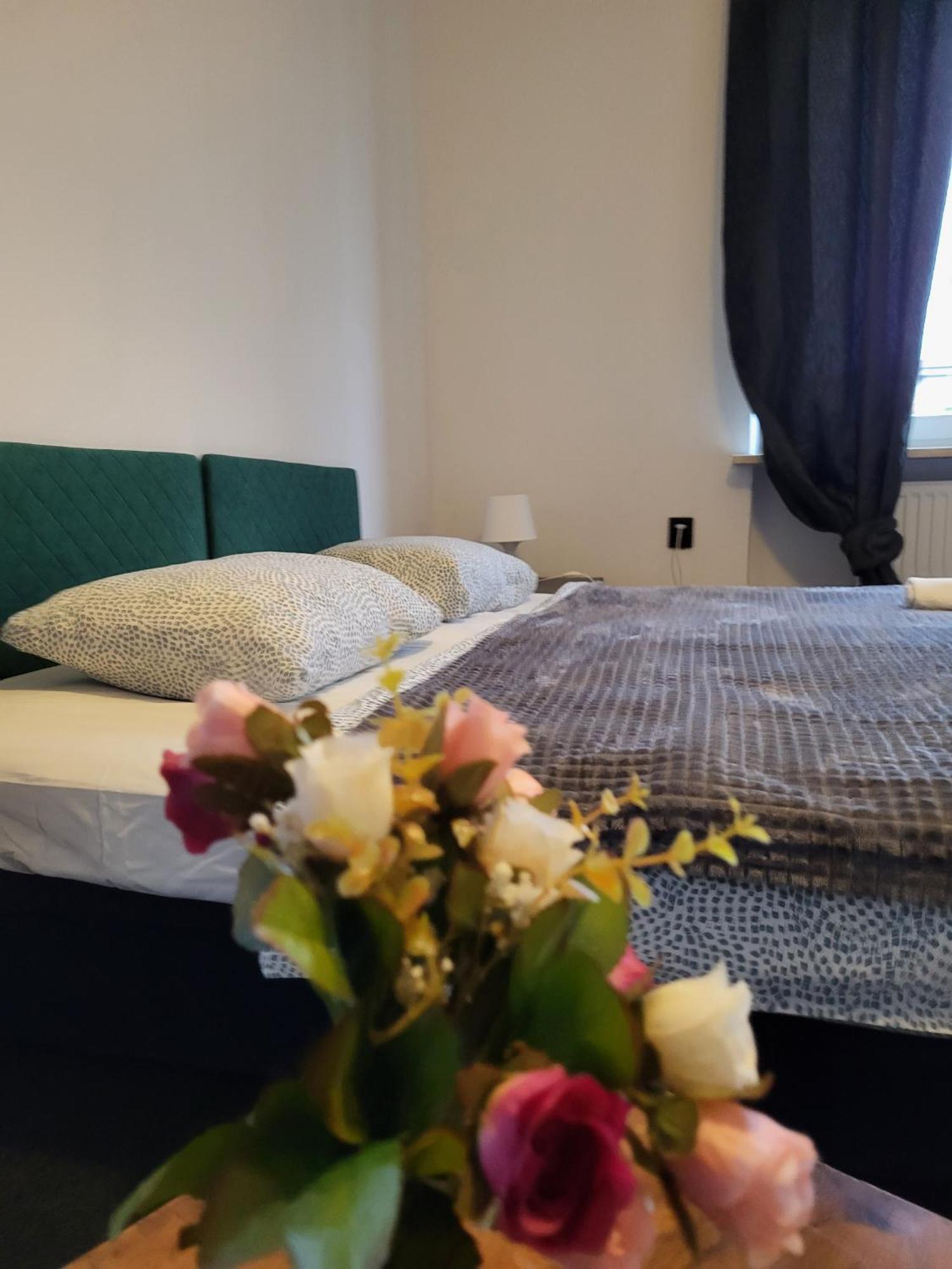 Charmed Homestay - Zaczarowany Варшава Экстерьер фото